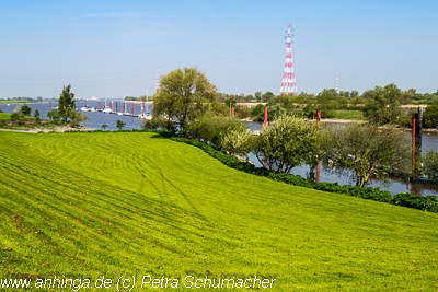 GrÃ¼nendeich an der Elbe