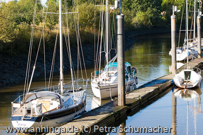 Anleger TUS York in der Lühe 4