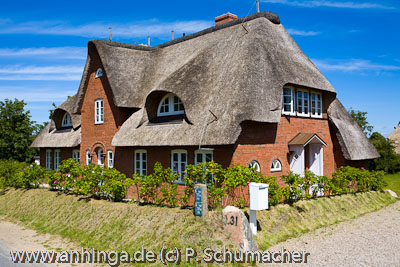 AMRUM 10