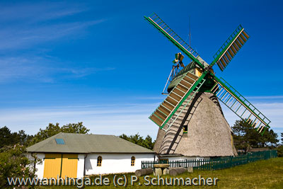 AMRUM 11
