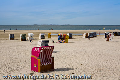 AMRUM 12