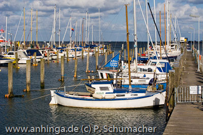 AMRUM 2
