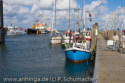 AMRUM 3