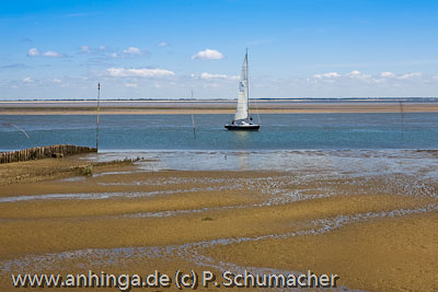 AMRUM 7