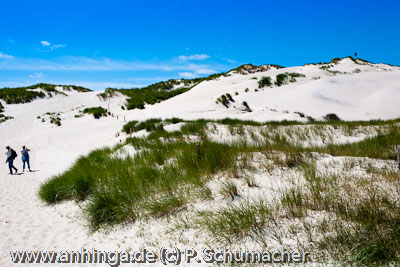 AMRUM 8