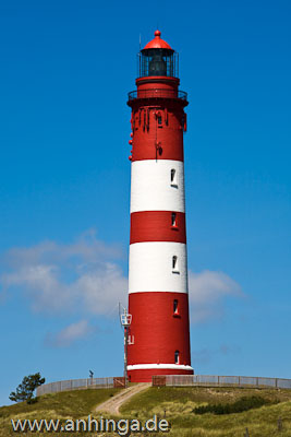 AMRUM 9