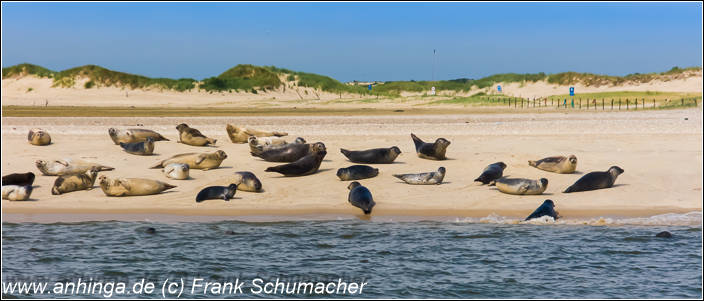 Norderney